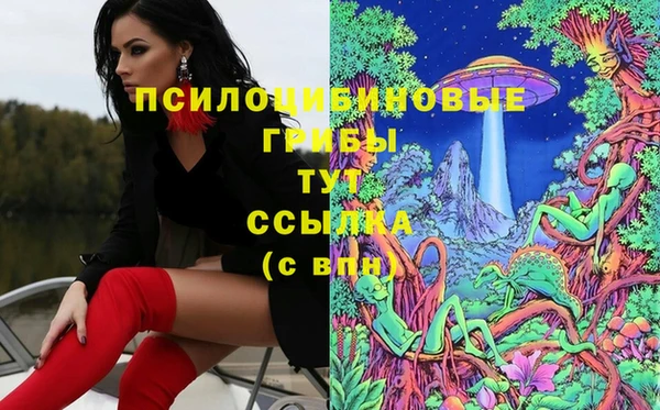 дживик Алексеевка