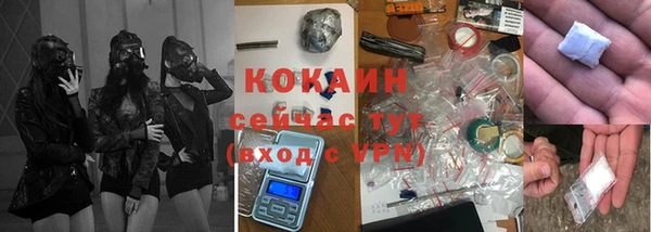 гидра Михайловка