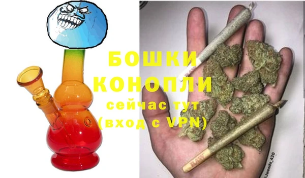 гидра Михайловка