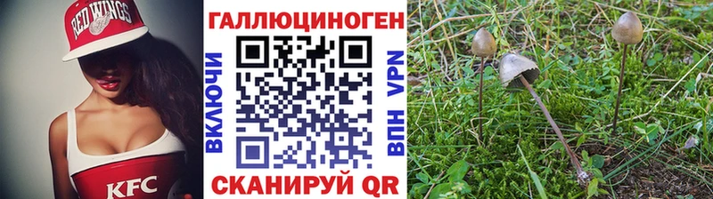 Псилоцибиновые грибы Psilocybe  ОМГ ОМГ как войти  Ступино 